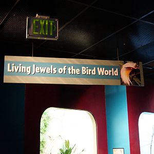 Living Jewels of the Bird World Sign