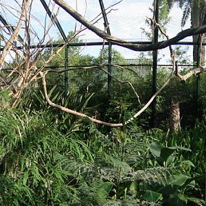 Macaw enclosure