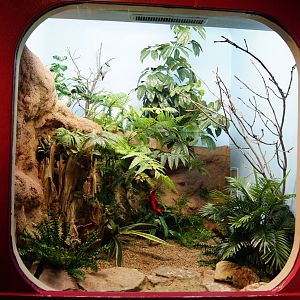 Jewels of the Bird World