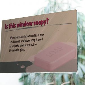 Jewels of the Bird World