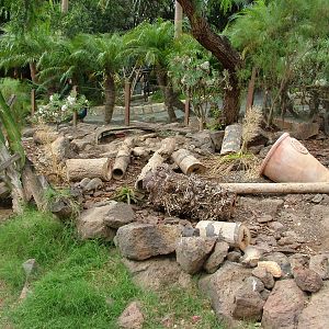 Meerkat Exhibit at Jungle Park (Las Aguilas), 13/11/10