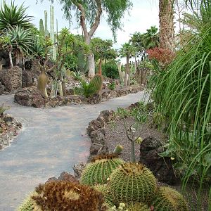 Cactus Garden at Jungle Park (Las Aguilas), 13/11/10