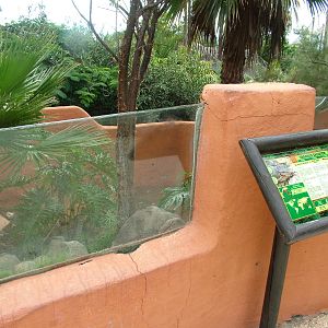Monitor Lizard Exhibit at Jungle Park (Las Aguilas), 13/11/10