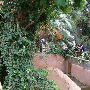 Red Panda Exhibit at Jungle Park (Las Aguilas), 13/11/10