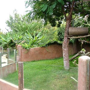 Red Panda Exhibit at Jungle Park (Las Aguilas), 13/11/10