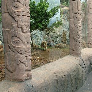 Lion Exhibit at Jungle Park (Las Aguilas), 13/11/10