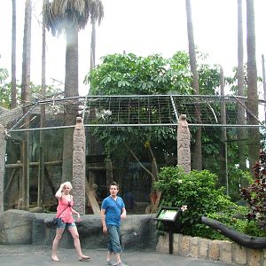Jaguar Exhibit at Jungle Park (Las Aguilas), 13/11/10