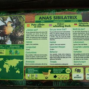 Spot the Deliberate Mistake at Jungle Park (Las Aguilas), 13/11/10
