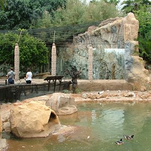 Waterfowl and Lion Exhibits at Jungle Park (Las Aguilas), 13/11/10
