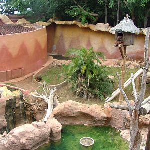 Orang-Utan Exhibit at Jungle Park (Las Aguilas), 13/11/10