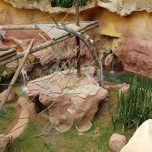 Orang-Utan Exhibit at Jungle Park (Las Aguilas), 13/11/10