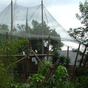 Leopard Exhibit at Jungle Park (Las Aguilas), 13/11/10