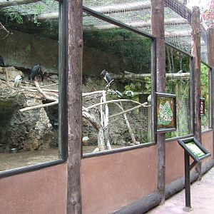 Aviary at Jungle Park (Las Aguilas), 13/11/10