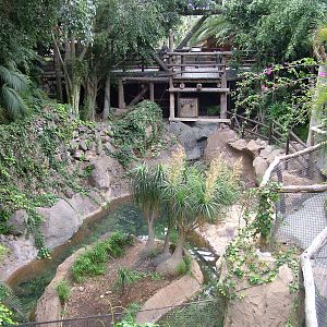 Alligator Exhibit at Jungle Park (Las Aguilas), 13/11/10