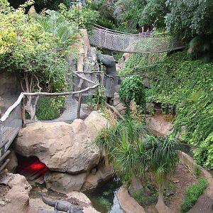 Alligator Exhibit at Jungle Park (Las Aguilas), 13/11/10