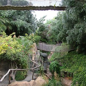 Alligator Exhibit Bridges at Jungle Park (Las Aguilas), 13/11/10