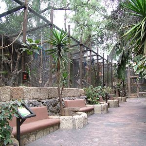 Macaw Aviaries at Jungle Park (Las Aguilas), 13/11/10