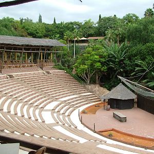 Parrot Show Arena at Jungle Park (Las Aguilas), 13/11/10