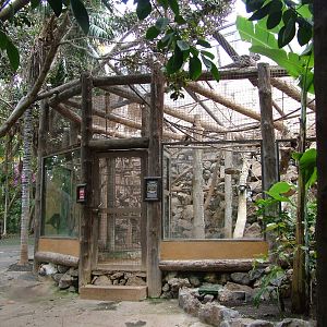 Capuchin Exhibit at Jungle Park (Las Aguilas), 13/11/10