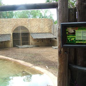 Nile Crocodile Exhibit at Jungle Park (Las Aguilas), 13/11/10