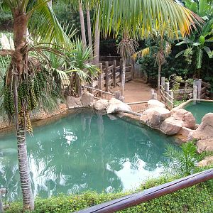 Pygmy Hippo Exhibit at Jungle Park (Las Aguilas), 13/11/10
