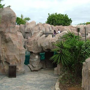 Penguin Exhibit at Jungle Park (Las Aguilas), 13/11/10