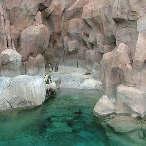 Penguin Exhibit at Jungle Park (Las Aguilas), 13/11/10