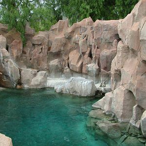Penguin Exhibit at Jungle Park (Las Aguilas), 13/11/10
