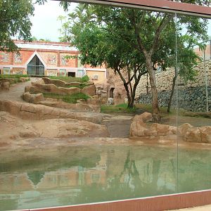 Tiger Exhibit at Jungle Park (Las Aguilas), 13/11/10