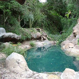 Caiman Exhibit at Jungle Park (Las Aguilas), 13/11/10