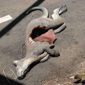 artificial kangaroo carcasse