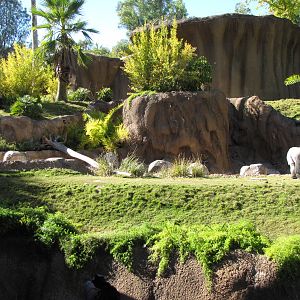 Campo Gorilla Reserve