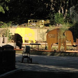 Elephants of Asia - Mock Elephant Graphics