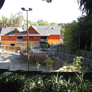 Elephants of Asia - November 26, 2010