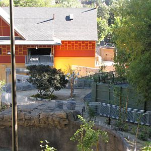 Elephants of Asia - November 26, 2010