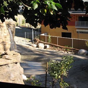 Elephants of Asia - November 26, 2010