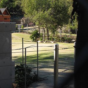 Elephants of Cambodia Viewing Area - Elephants of Asia