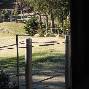 Elephants of Cambodia Viewing Area - Elephants of Asia
