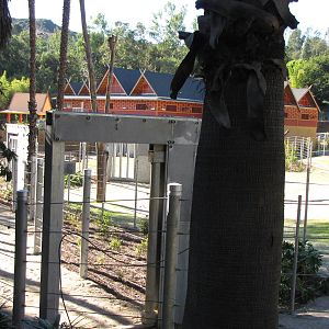 Elephants of Cambodia Viewing Area - Elephants of Asia