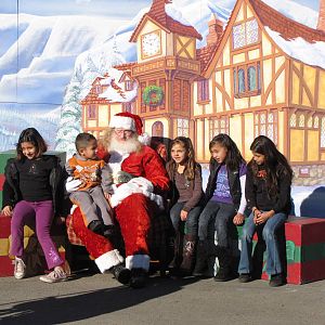 Christmastime At The Zoo