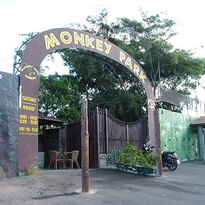 Main Entrance at Monkey Park, 09/11/10
