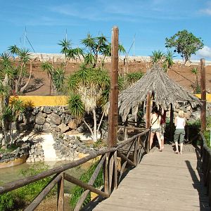 Crocodile Exhibit at Monkey Park, 09/11/10