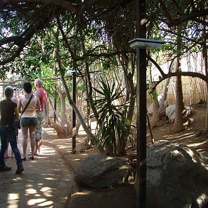 Walkthrough at Monkey Park, 09/11/10