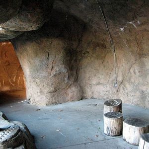 Lion's Pride-Viewing Shelter