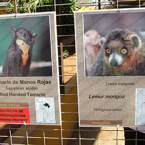 Signage at Monkey Park, 09/11/10