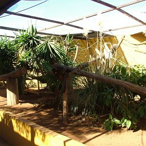 Walkthrough at Monkey Park, 09/11/10