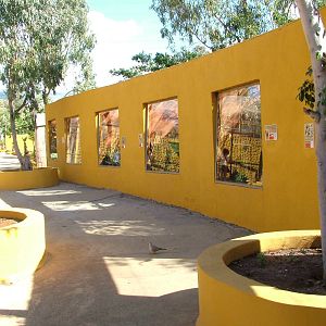 Marmoset and Tamarin Exhibits at Monkey Park, 09/11/10