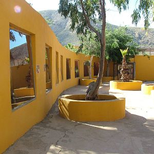 Marmoset Viewing at Monkey Park, 09/11/10