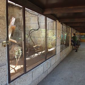 Marmoset and Tamarin Exhibits at Monkey Park, 09/11/10