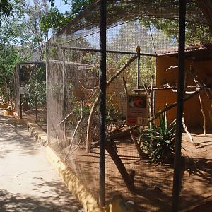 Aviaries at Monkey Park, 09/11/10